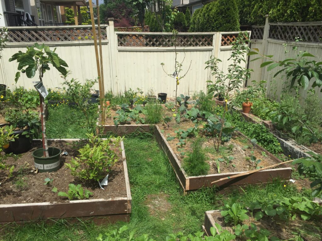 Raised beds