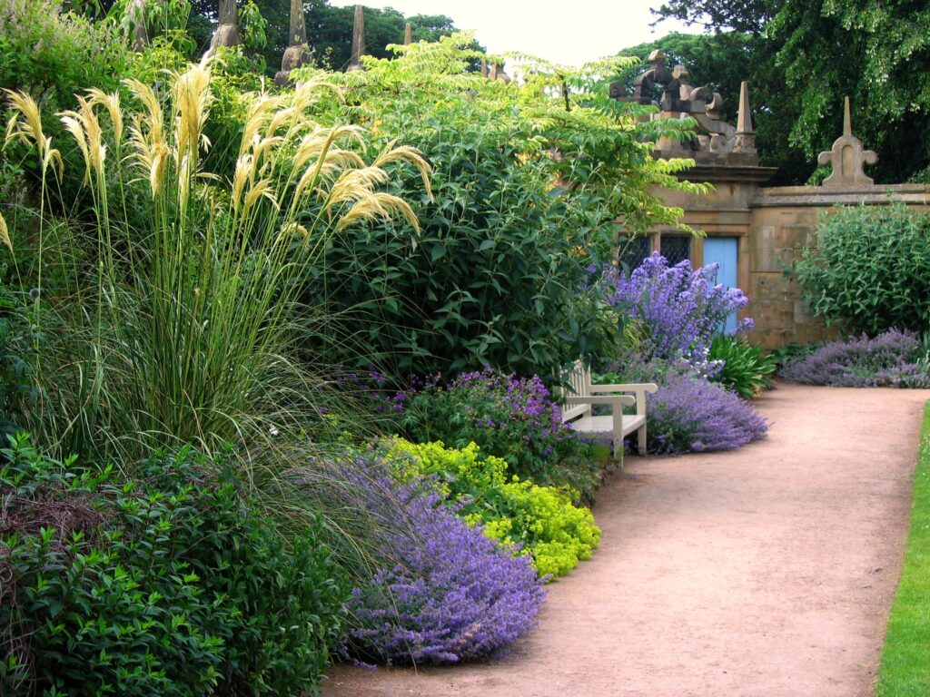 Summer garden with bench