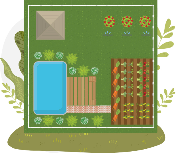 Illustration of garden map