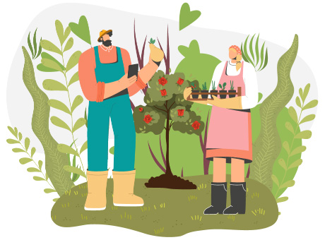 Illustration of gardeners