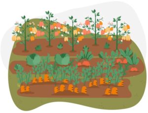 Hortiskech graphic
