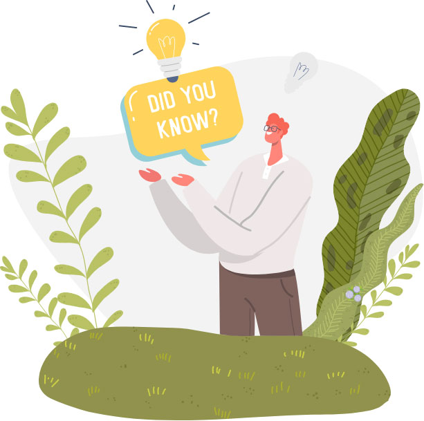 Illustration of garden trivia