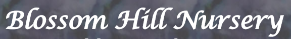 sads