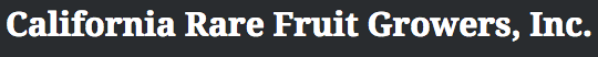 sads