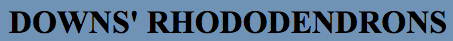 sads