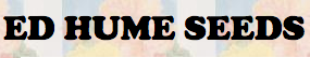 sads