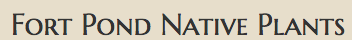 sads