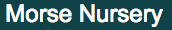 sads